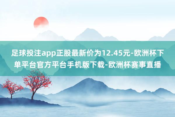 足球投注app正股最新价为12.45元-欧洲杯下单平台官方平
