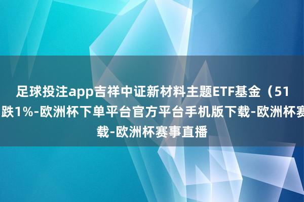 足球投注app吉祥中证新材料主题ETF基金（516890）跌