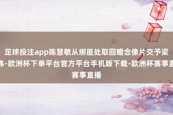 足球投注app陈慧敏从绑匪处取回瞻念像片交予梁朝伟-欧洲杯下